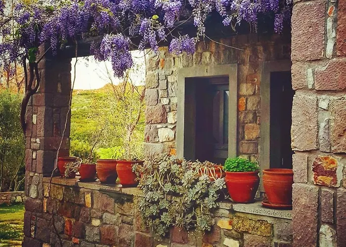 Akvaryum מלון בוזקאדה