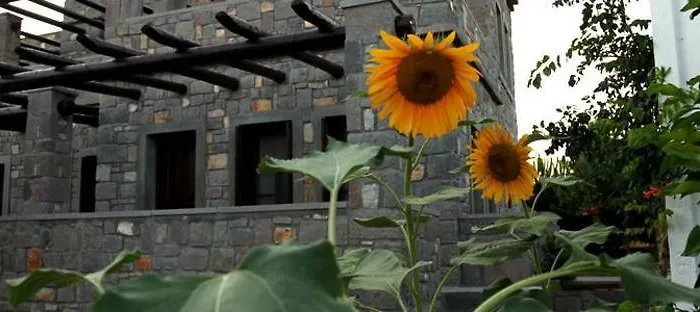 Akvaryum מלון בוזקאדה